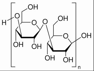 β-葡聚糖