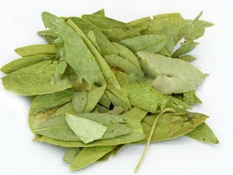番泻叶甙120番泻叶苷番泻叶提取物