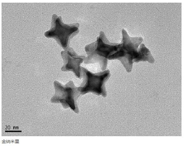 金纳米星-聚乙二醇复合物纳米材料;auns-peg复合物浓度;比表面积,高