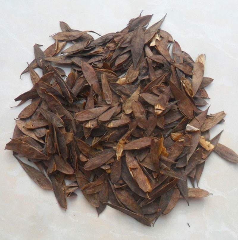 博落回提取物的作用价格兽用中草药