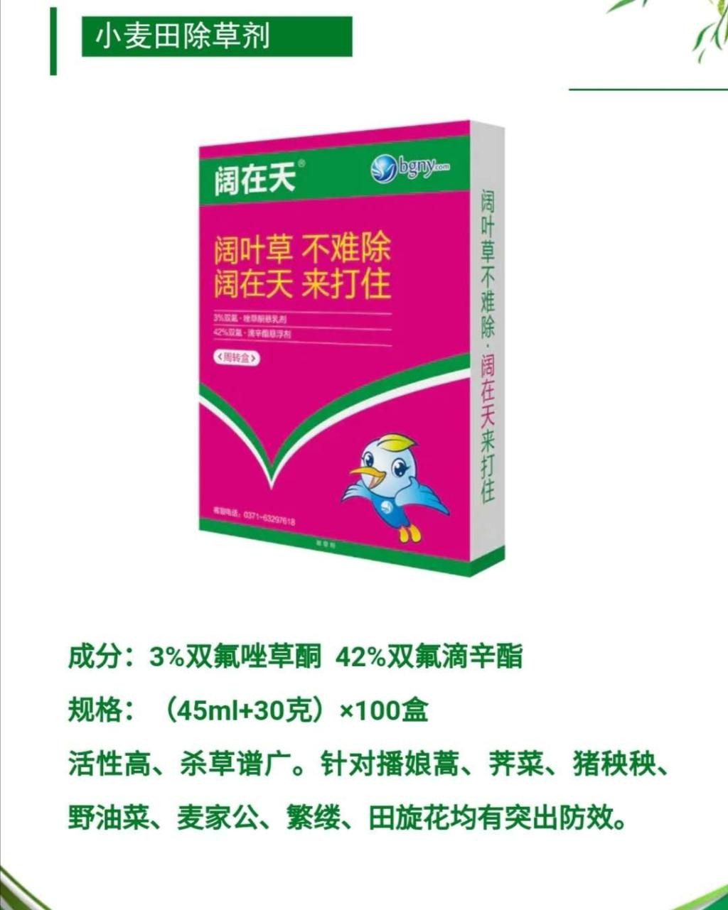 供应河北山东地区小麦田恶性阔叶杂草克星42%双氟滴辛酯小麦田除草剂