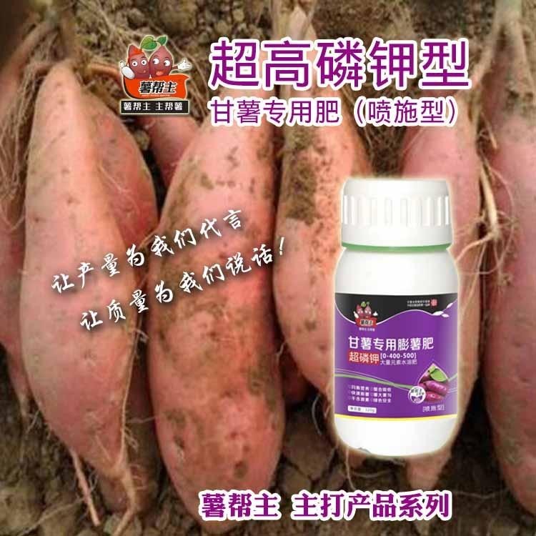 红薯专用肥叶面肥地瓜叶面肥薯帮主高钾肥甘薯膨大肥