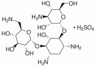 卡那霉素硫酸盐25389940