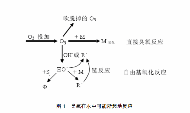 然后臭氧或者羟基自由基与之发生氧化反应,形成的中间产物金额能在