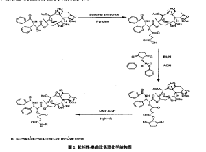 ptx-octreotide奥曲肽-紫杉醇|ptx-yigsr/rvg29/ge11/wsw(wswgpysc)