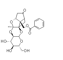 芍药新苷