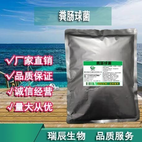 糞腸球菌生產(chǎn)廠家