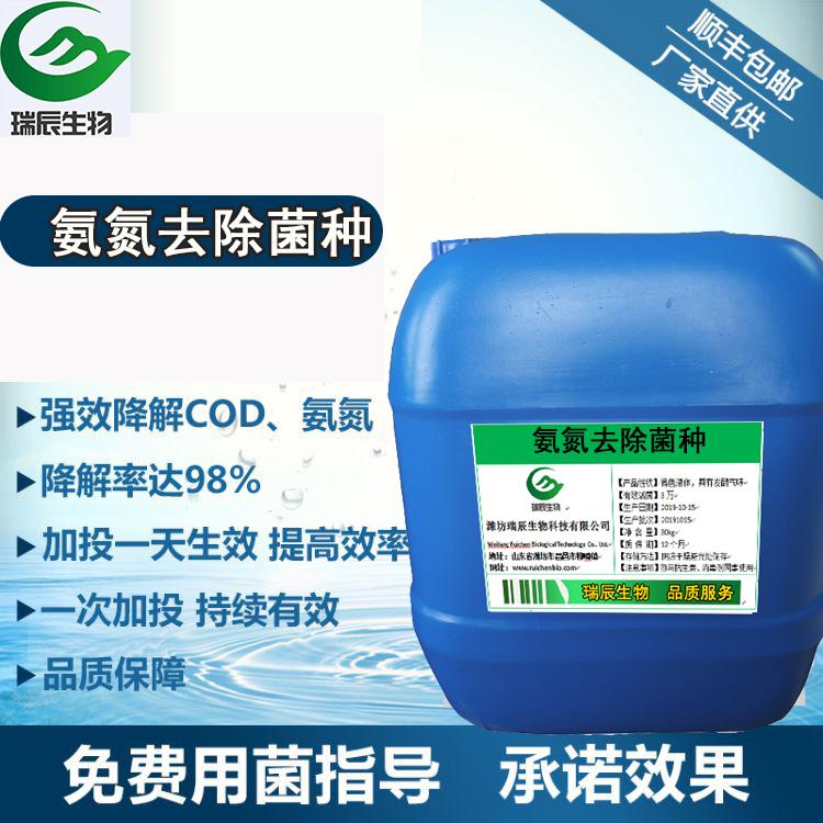 氨氮超標治理用菌種