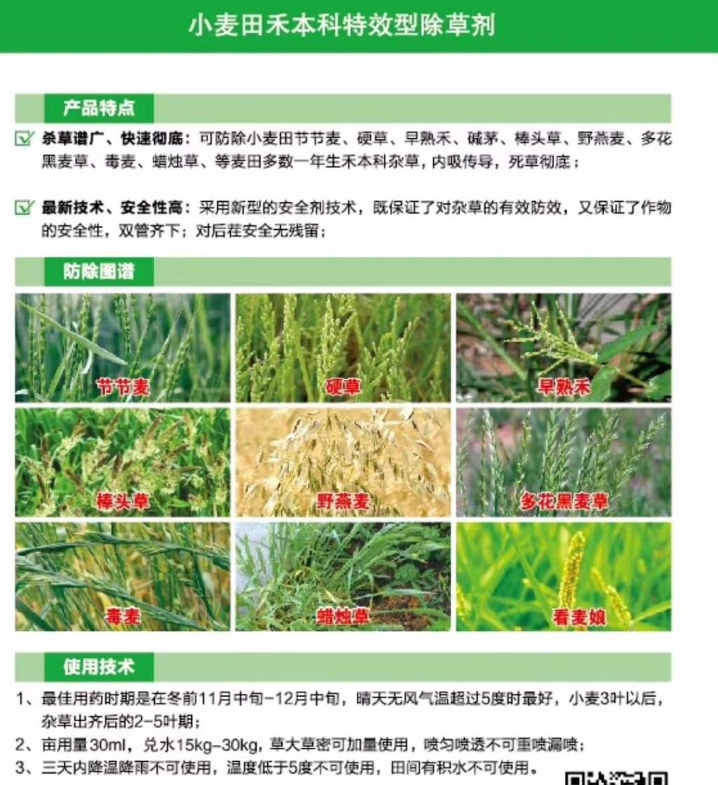 小麦田除草剂除草列表图片