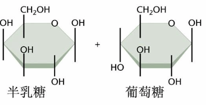 tf修飾的自組裝聚合物納米粒tfdoxddpnps半乳糖修飾人血清白蛋白gal