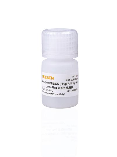 AntiDYKDDDDK (Flag) Affinity Gel（AntiFlag亲和纯化凝胶）20585ES品牌：YeasenChina