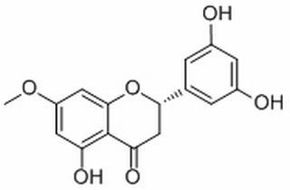 艾納香素