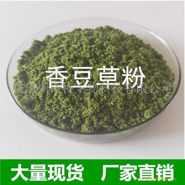 香豆草粉 香豆粉 大量现货 做花卷馍馍好原料