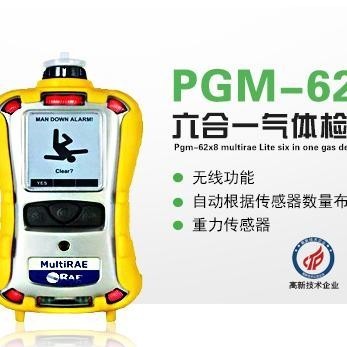 美国华瑞PGM-62X8 六合一有害气体射线检测仪