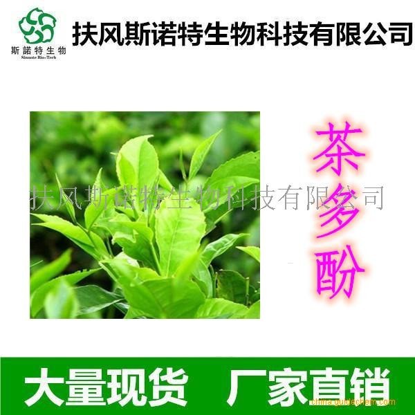 茶多酚 80% 绿茶提取物 规格定制