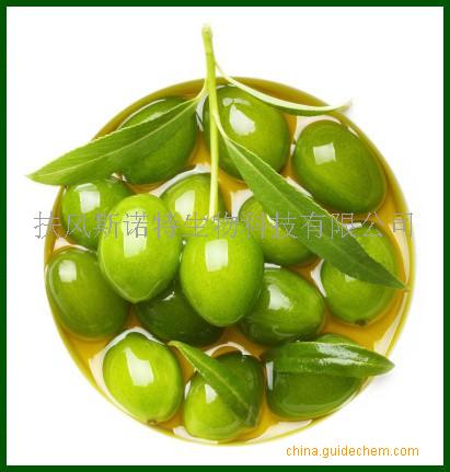 油橄榄树提取物 橄榄苦甙40%