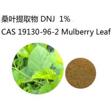  桑叶提取物 DNJ 1％ CAS 19130-96-2