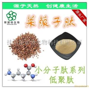 莱菔子肽 莱菔子多肽 莱菔子小分子肽 大供应