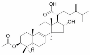 茯苓酸 CAS：29070-92-6