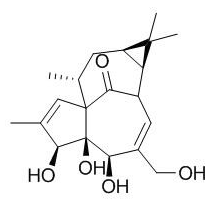 巨大戟醇 CAS：30220-46-3