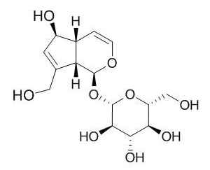 桃叶珊瑚苷，479-98-1