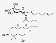 人参皂苷Rh8，343780-69-8