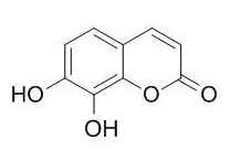 瑞香素 CAS：486-35-1