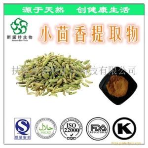 小茴香提取物 小茴香提取粉 小茴香萃取粉 现货