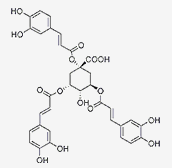 1,3,5-三咖啡酰奎宁酸 CAS：1073897-80-9