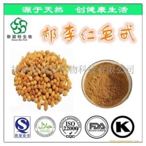 郁李仁皂苷2% 郁李仁皂甙 郁李仁提取物粉 量大优惠