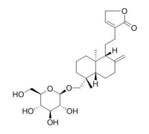 新穿心莲内酯 CAS：27215-14-1