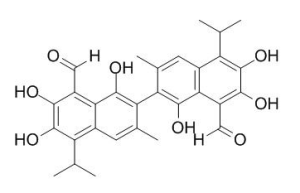 棉酚 CAS：303-45-7