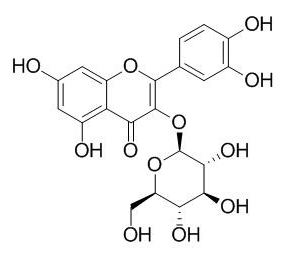 异槲皮苷 CAS：482-35-9；21637-25-2