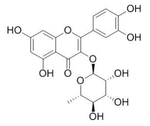 槲皮苷 CAS：522-12-3