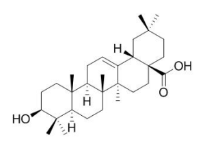 齐墩果酸 CAS：508-02-1