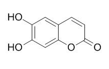 秦皮乙素 CAS：305-01-1