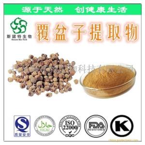 覆盆子提取物 覆盆子萃取粉 覆盆子酮2% *带COA