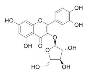 扁蓄苷 CAS：572-30-5