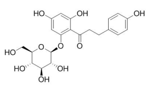 根皮苷 CAS：60-81-1