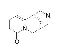 金雀花碱 CAS：485-35-8