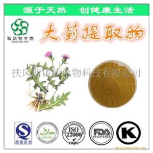 大蓟提取物 马蓟/虎蓟/刺蓟提取物 20:1水溶性大蓟粉 