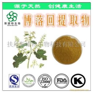 博落回提取物 20:1高* 博落回碱 血根碱 现货包邮