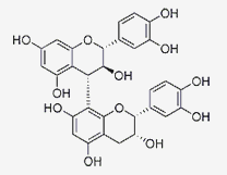 原花青素B4