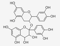 原花青素 CAS：4852-22-6