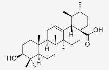 熊果酸 CAS：77-52-1