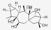 闹羊花毒素III，26342-66-5