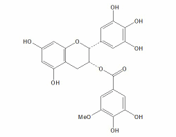 3''-O-甲基表没食子儿茶素没食子酸酯 CAS：83104-87-4
