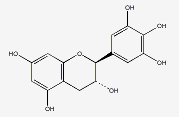 没食子儿茶素 CAS：970-73-0