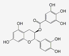 儿茶素没食子酸酯 CAS：130405-40-2