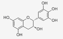 表没食子儿茶素 CAS：970-74-1